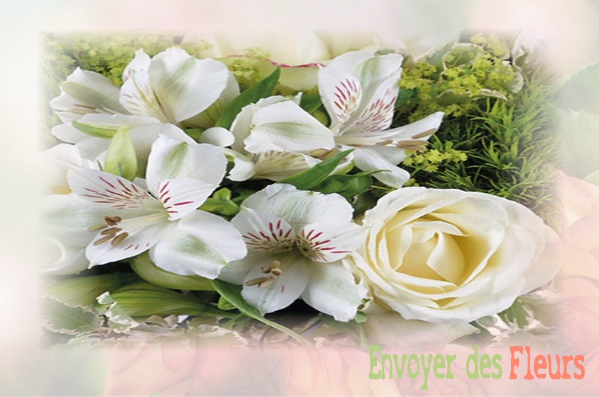 envoyer des fleurs à à VILLENEUVE-LES-BORDES