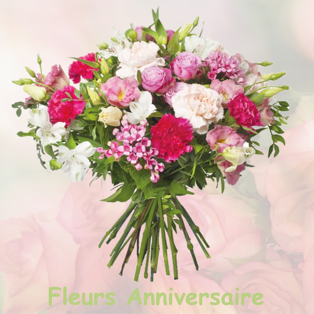 fleurs anniversaire VILLENEUVE-LES-BORDES